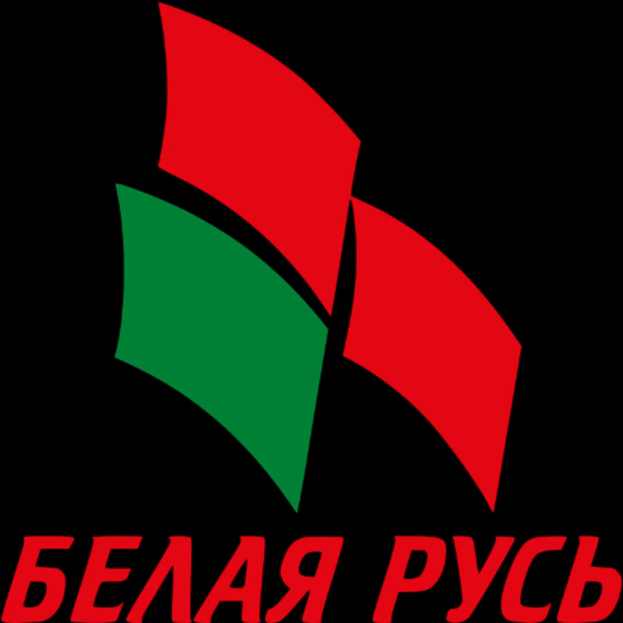 Общественные объединения Белая Русь.png