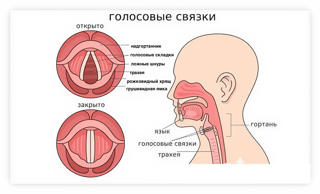 vsemirnyDenGolosa-Pica.png