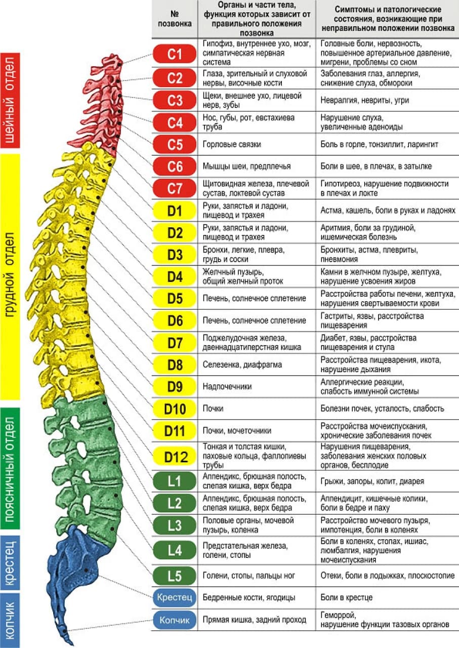 platnieUslugi_manyalnayaTerapiya_01.png platnieUslugi_manyalnayaTerapiya_01.png